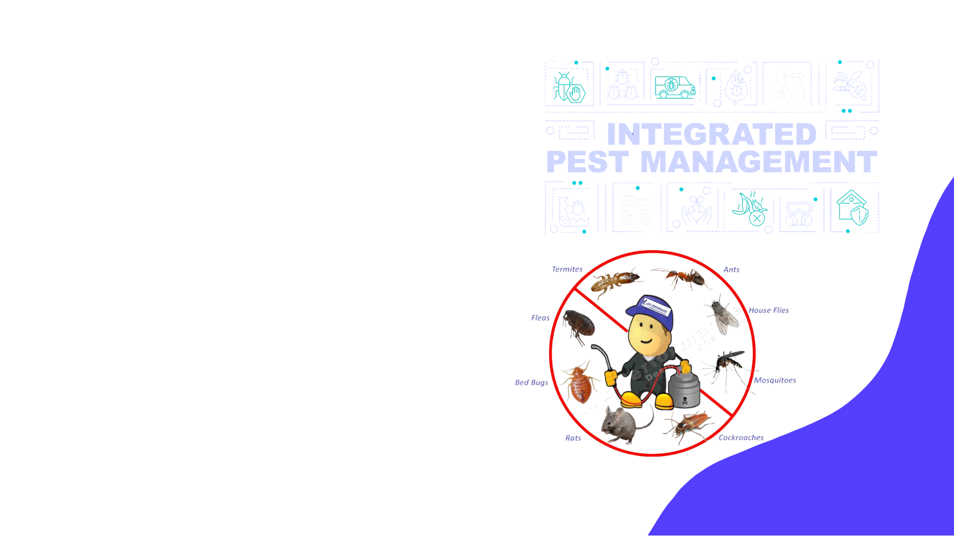 Integrated Pest Management